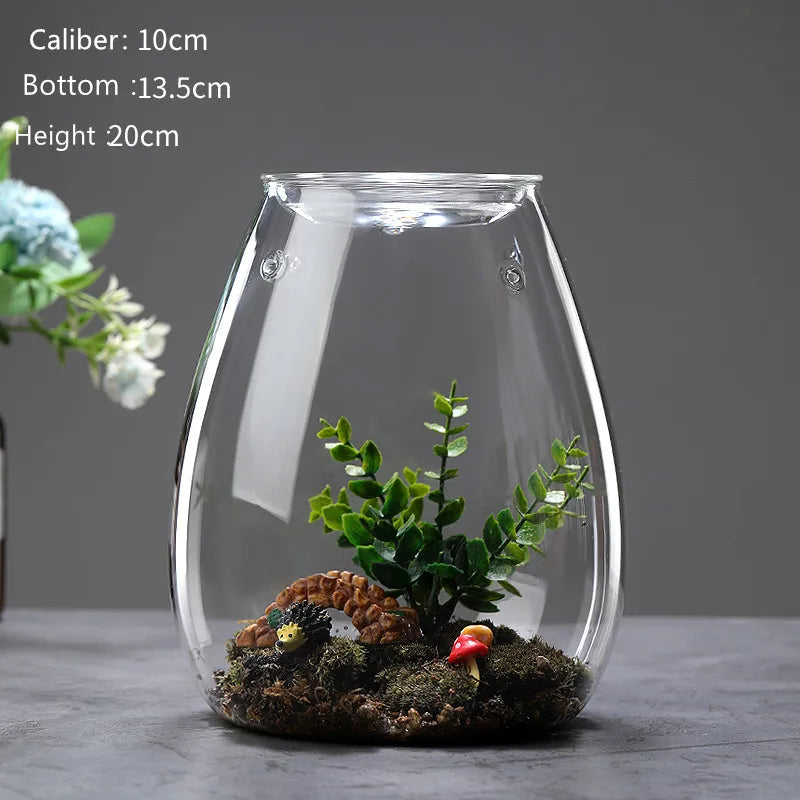 Creative Glass Cover Glass Bottle Moss Vase Hydroponic Fleshy Micro Landscape Glass Terrarium Bonsai Home Decor