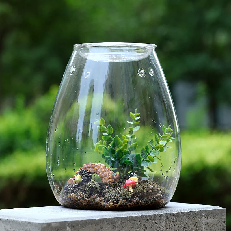 Creative Glass Cover Glass Bottle Moss Vase Hydroponic Fleshy Micro Landscape Glass Terrarium Bonsai Home Decor